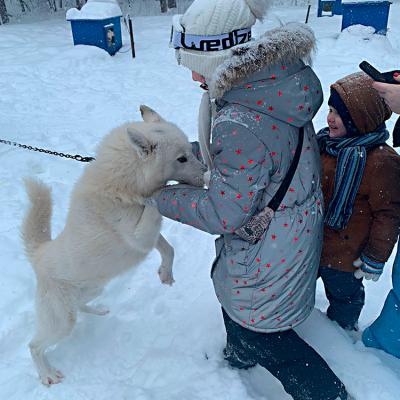 Серебро Севера